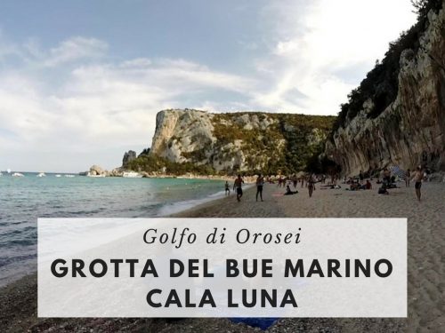 Una giornata nel Golfo di Orosei con i bambini: Grotta del Bue Marino e Cala Luna, Museo della Foca Monaca