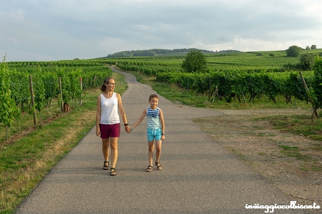 5 giorni in Alsazia con i bambini Strada dei vini d'Alsazia